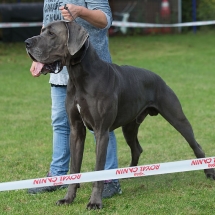 Hudson von der Bocksleite