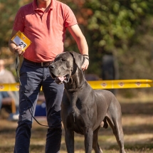 Dean von der Fränkischen Schweiz