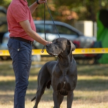 Dean von der Fränkischen Schweiz