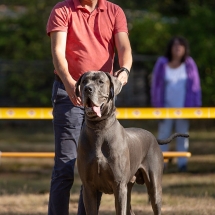 Dean von der Fränkischen Schweiz
