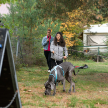 web_LR-07014