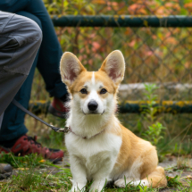 web_LR-07097