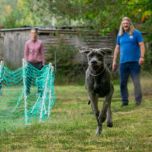 web_LR-07109