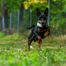 web_LR-07298